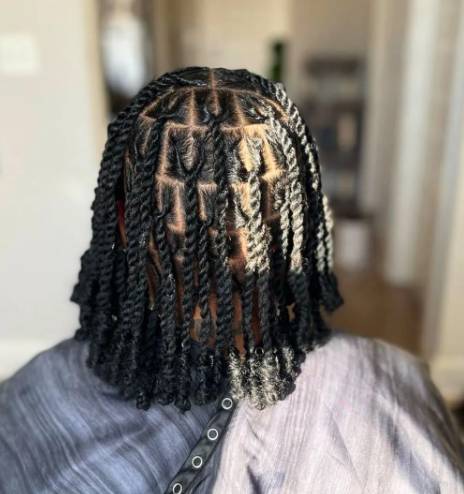 The Invisible Locs Guide: Can you see it?